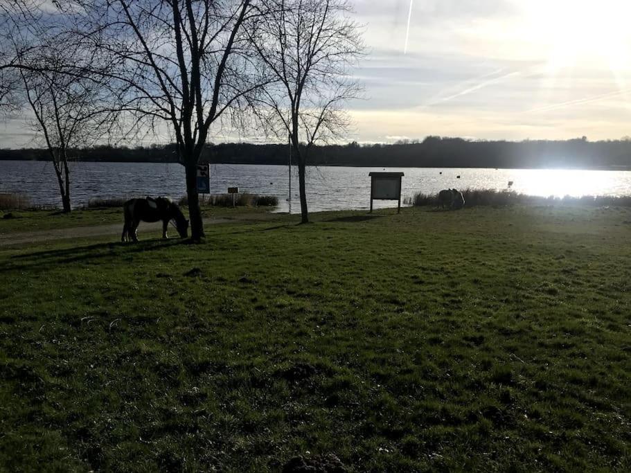 Saint-Quentin-sur-Charente Gite A La Campagne Au Bord D'Un Lac 8 Personnes מראה חיצוני תמונה